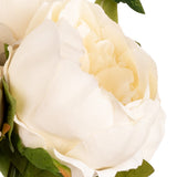 Aurora Peony Bunch x 5 Ivory image 2