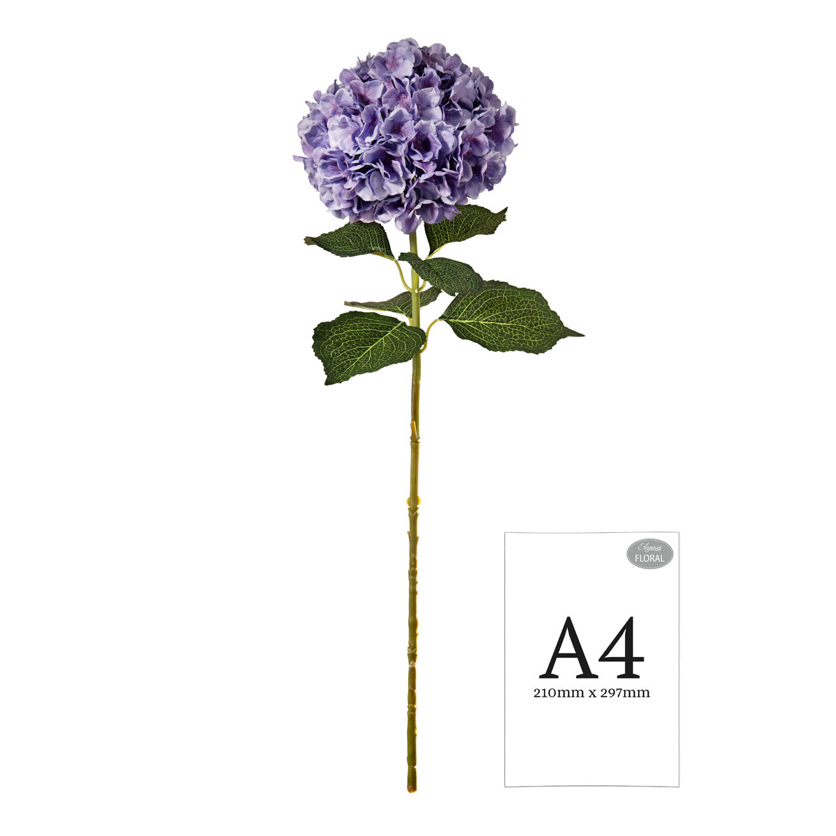Large Head Hydrangea Lavender image 1