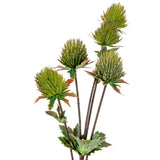 Thistle Spray x 5 Green image 1