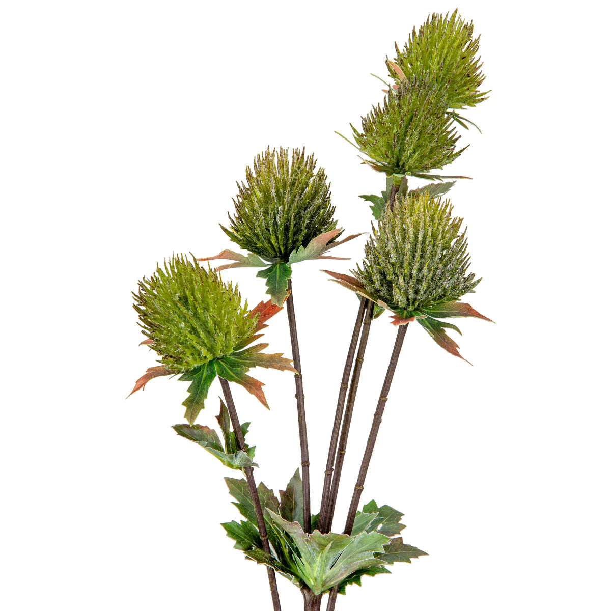 Thistle Spray x 5 Green image 1