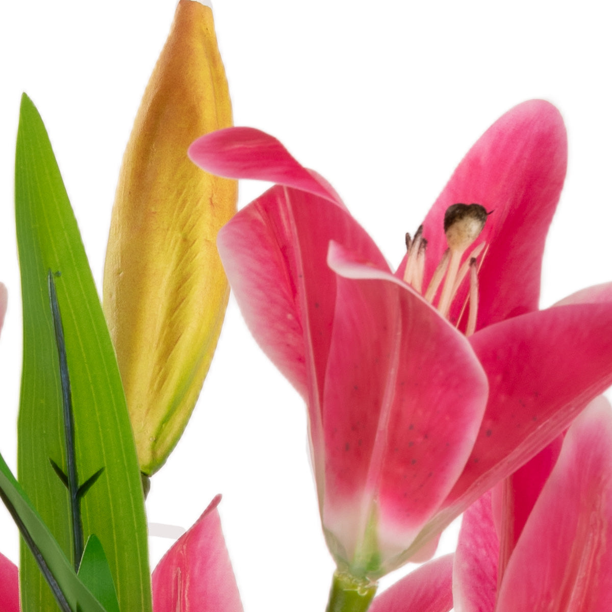 Lily Bush x 7 Flowers, 1 Bud & 9 Leaves Hot Pink image 1