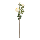 Elizabeth Garden Rose Spray x 3 Wheat image 0