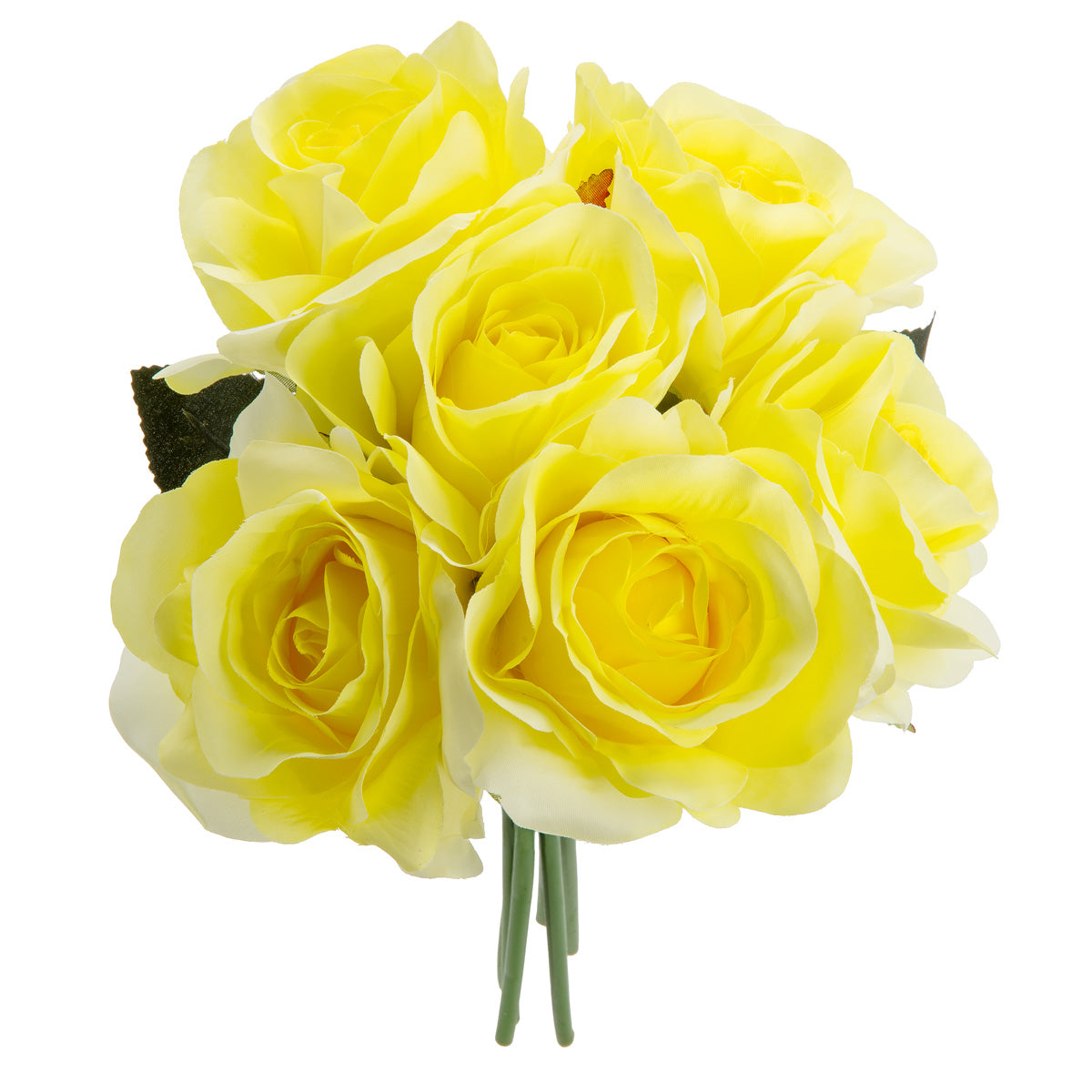 Eugenie Rose Bunch x 6 Pale Yellow image 1