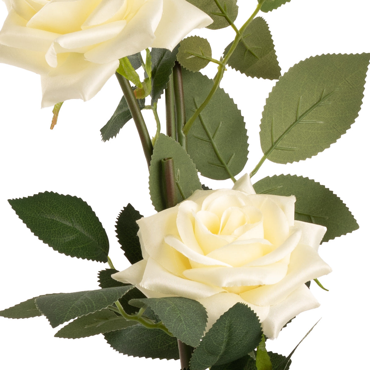 Large Diana Rose Spray x 5 Cream image 1