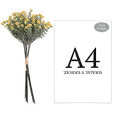 Mini Open Gypsophilia Bunch x 6 Yellow 33cm image 2