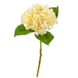 Small Head Hydrangea Cream/Pink image 2