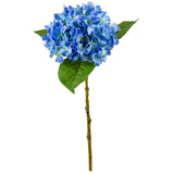 Small Head Hydrangea Blue image 2