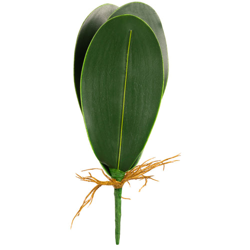 Orchid Leaf Bush image 0