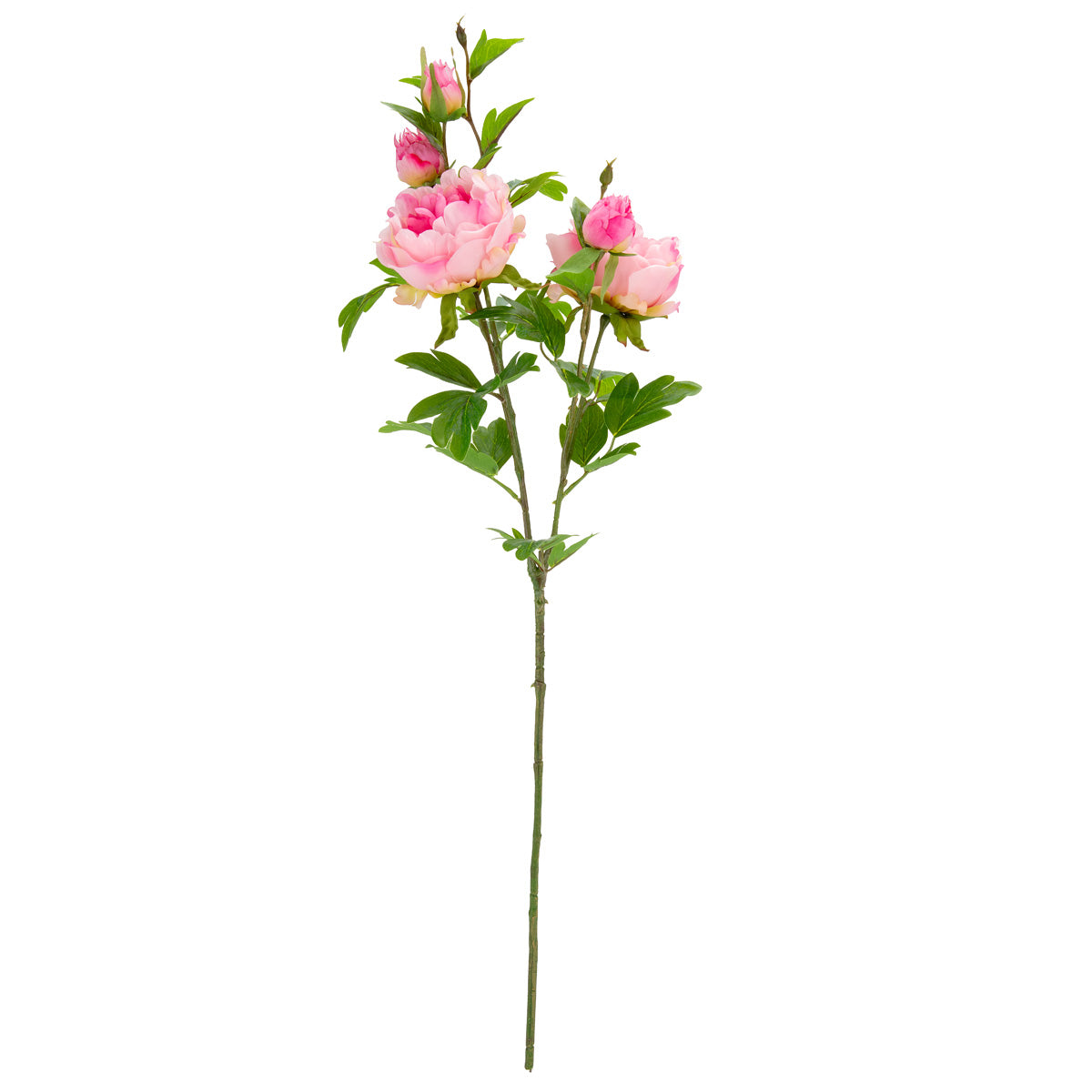 90cm Peony Spray x 5 Light Pink image 0