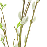Pussy Willow Spray image 2