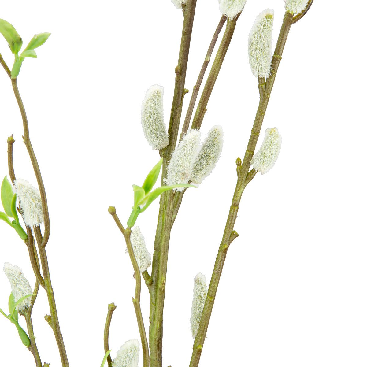 Pussy Willow Spray image 2