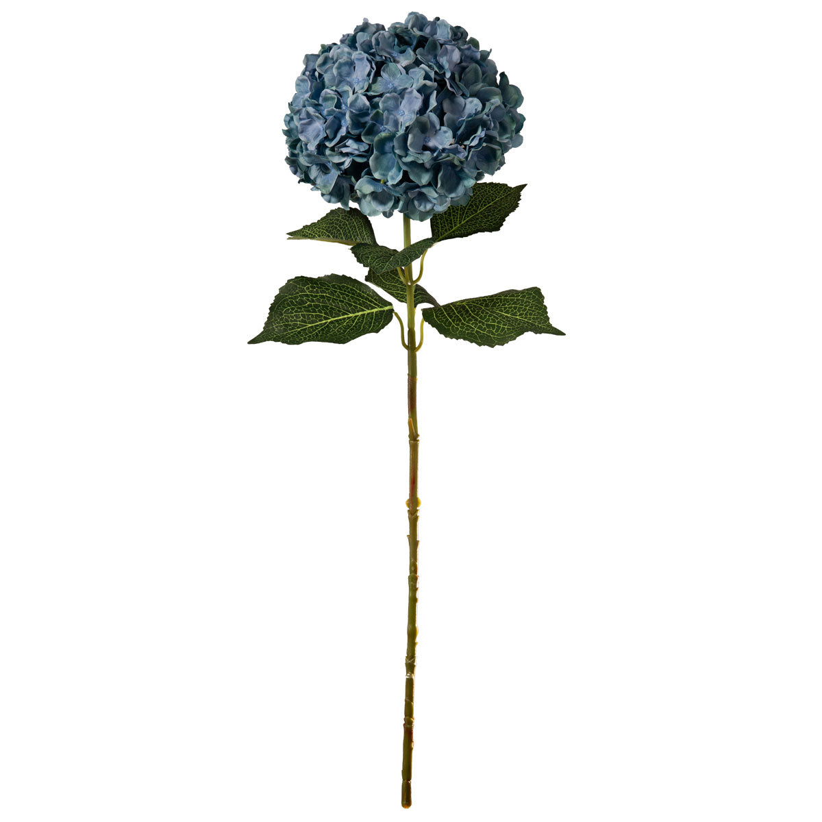 Large Head Hydrangea Blue Green 92cm image 0