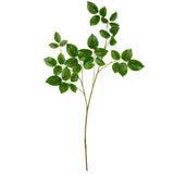 Rose Leaf Spray Green image 0