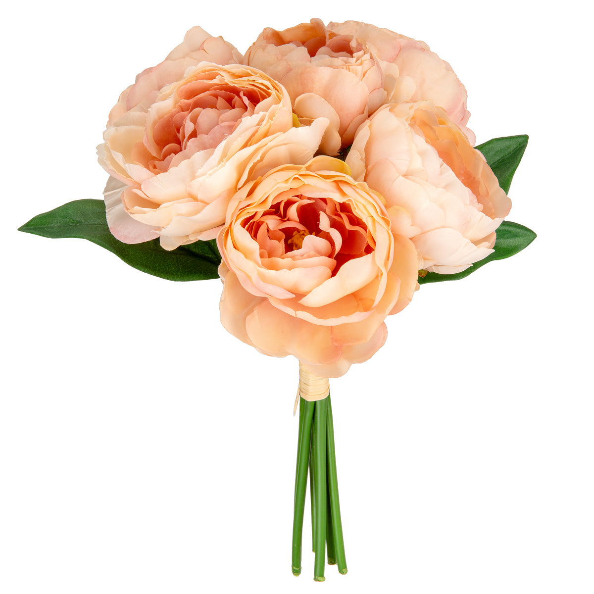 Princess Peony Bunch x 6 Dusky Pink image 0