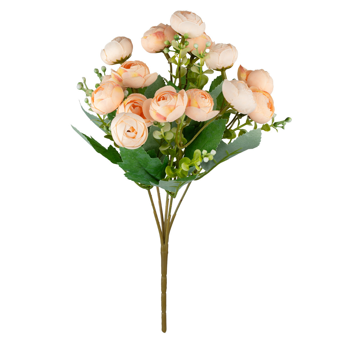 Ranunculus Bush Peach image 2