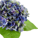 Small Head Hydrangea Purple Green image 1