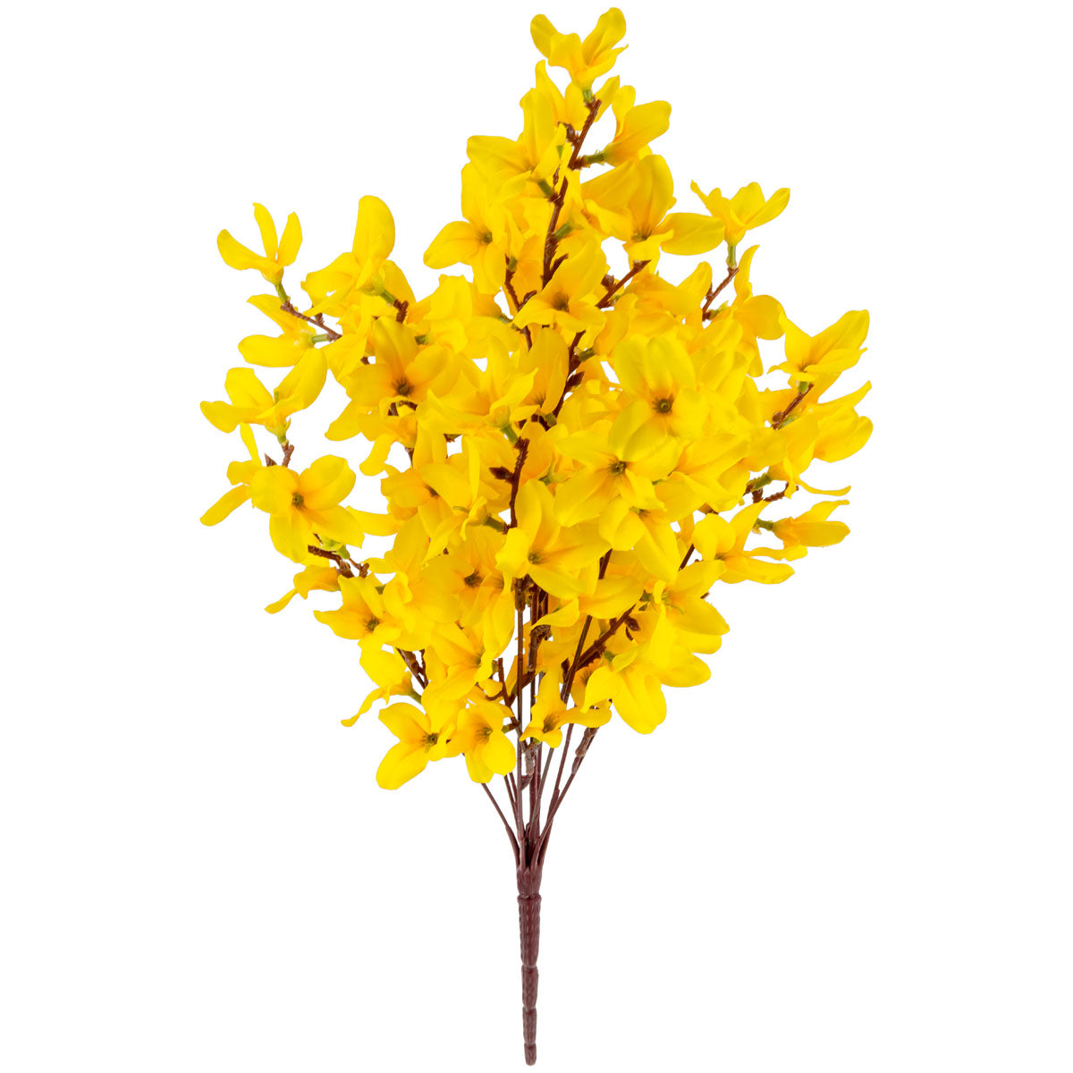Forsythia Bunch Yellow image 1
