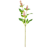 Pogostemon Spray x 3 Light Pink image 0