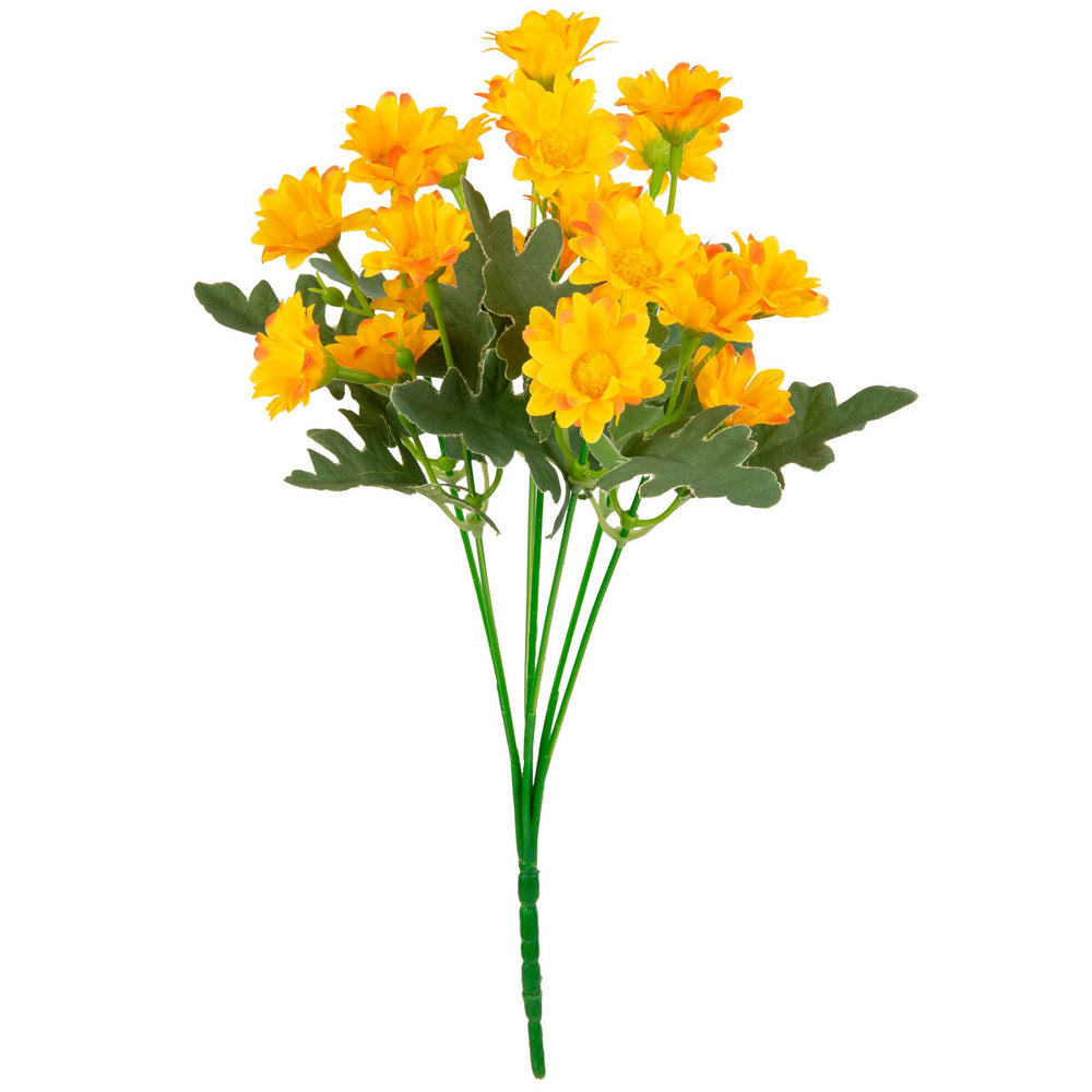 Daisy Bush Orange image 0