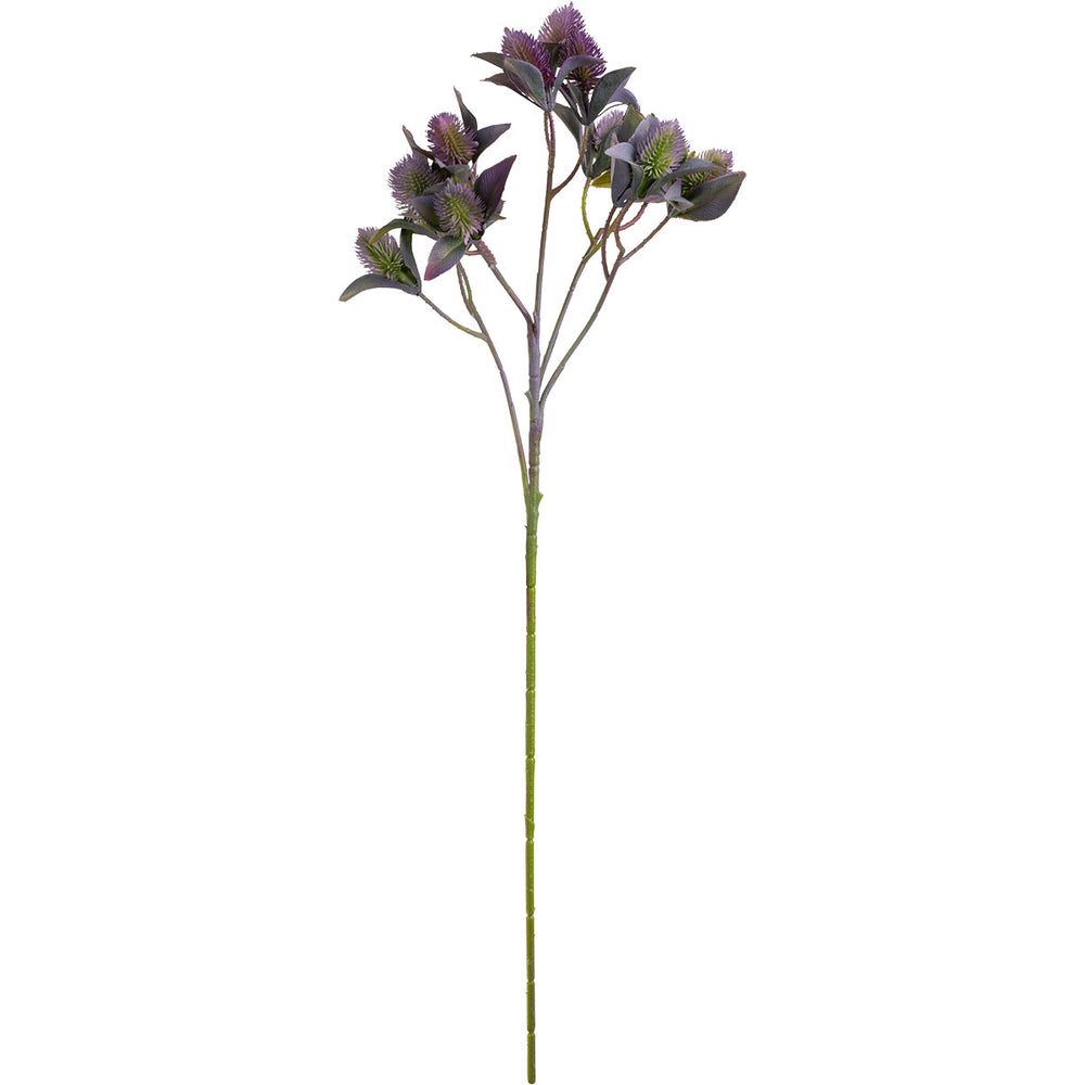 Thistle Spray 60cm Purple image 0