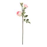 Elizabeth Garden Rose Spray x 3 Light Pink image 0