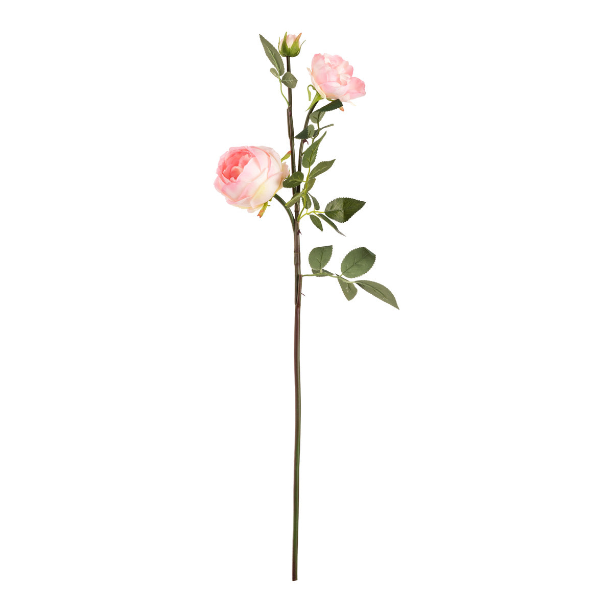 Elizabeth Garden Rose Spray x 3 Light Pink image 0