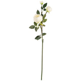 Elizabeth Garden Rose Spray x 3 White image 0