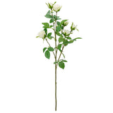 Rose Spray with 6 heads White image 0