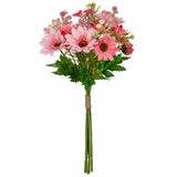 Gerbera Daisy Mixed Bush Light Pink image 2