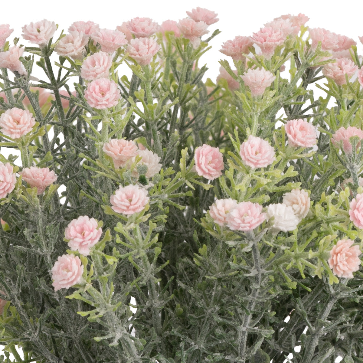 Mini Open Gypsophilia Bunch x 6 Light Pink 33cm image 1