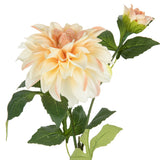 Orlando Dahlia Spray x 2 Champagne image 1