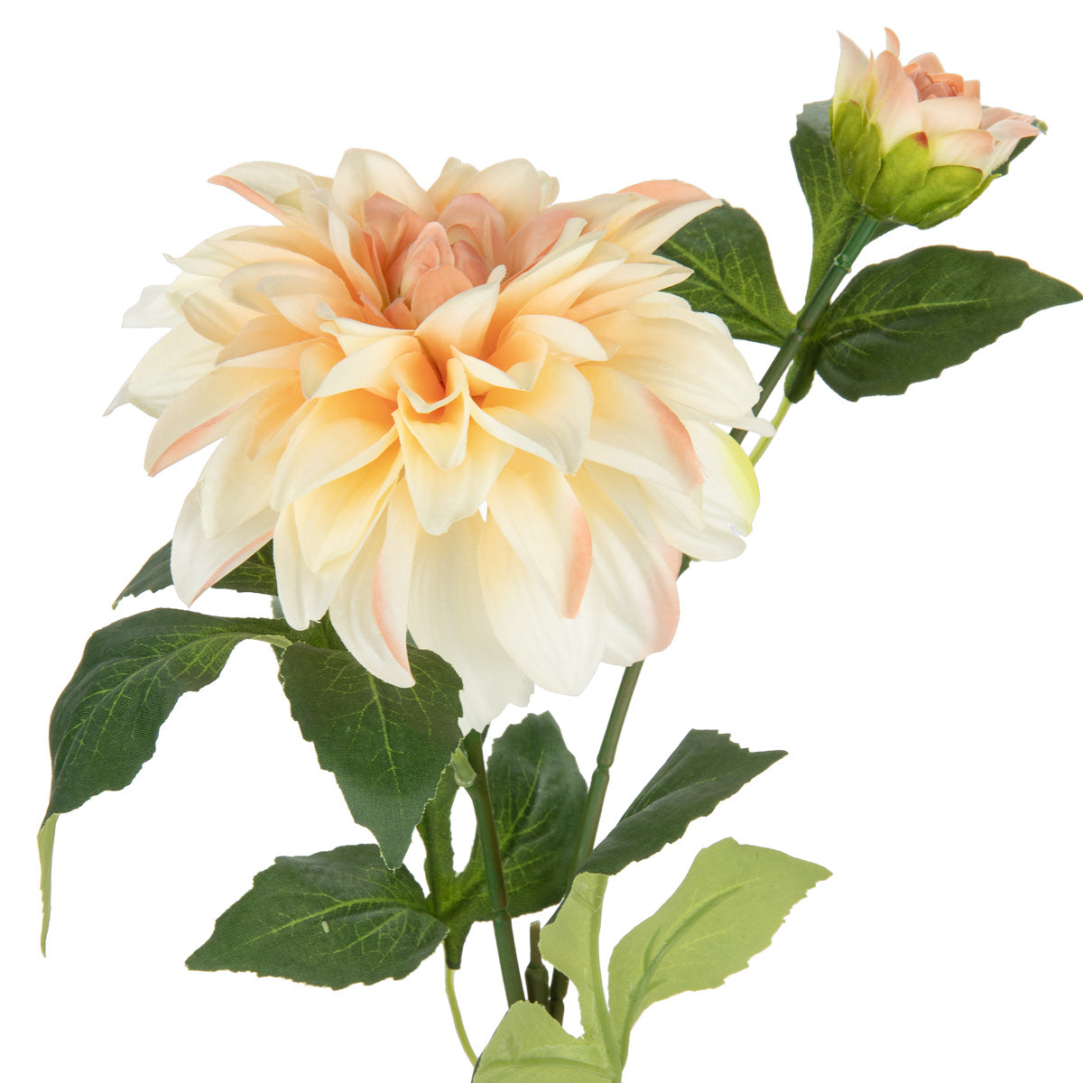 Orlando Dahlia Spray x 2 Champagne image 1