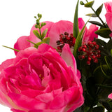 Peony Eucalyptus Bush 49cm Fuchsia image 1