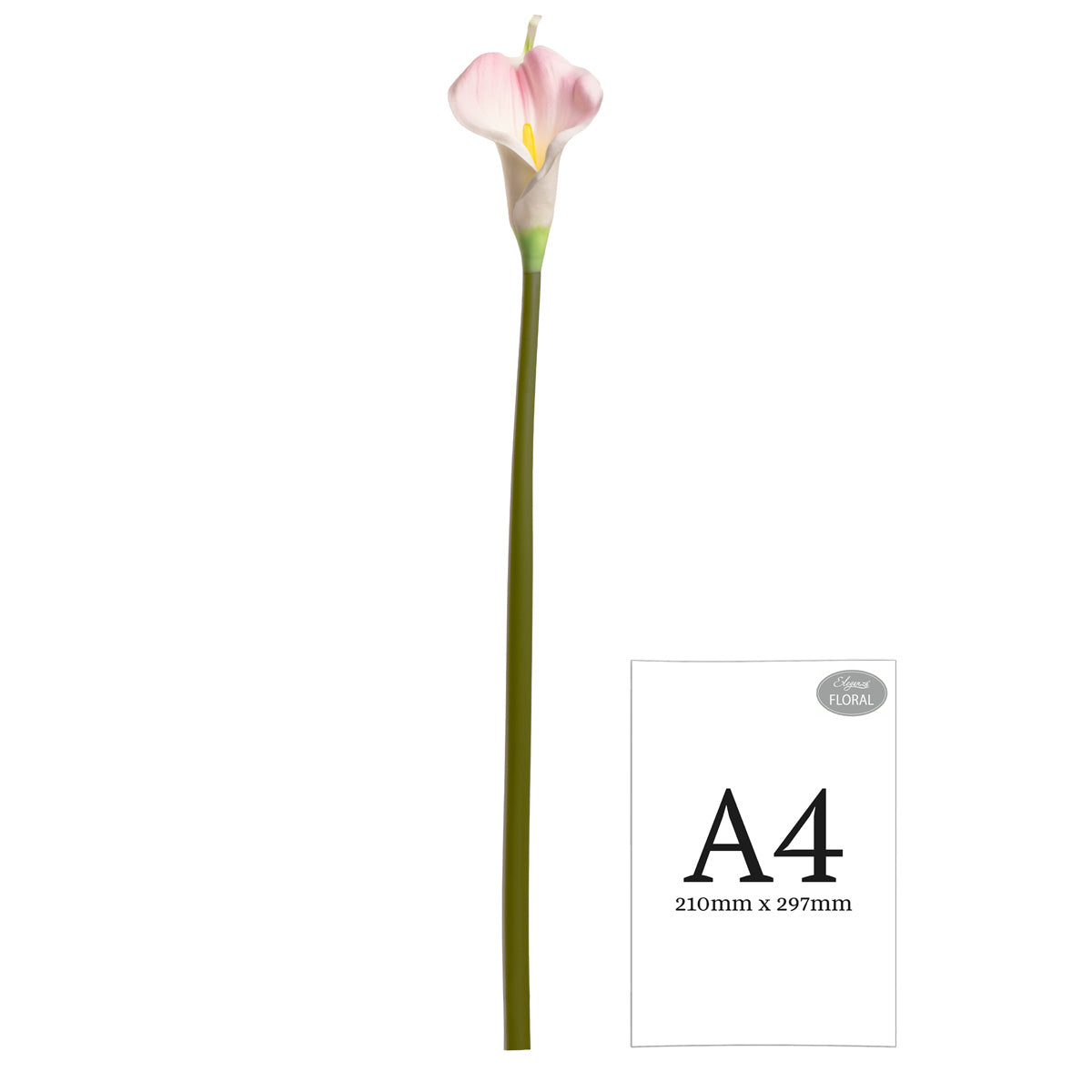 Calla Lily Pink Long Tall Stem image 1