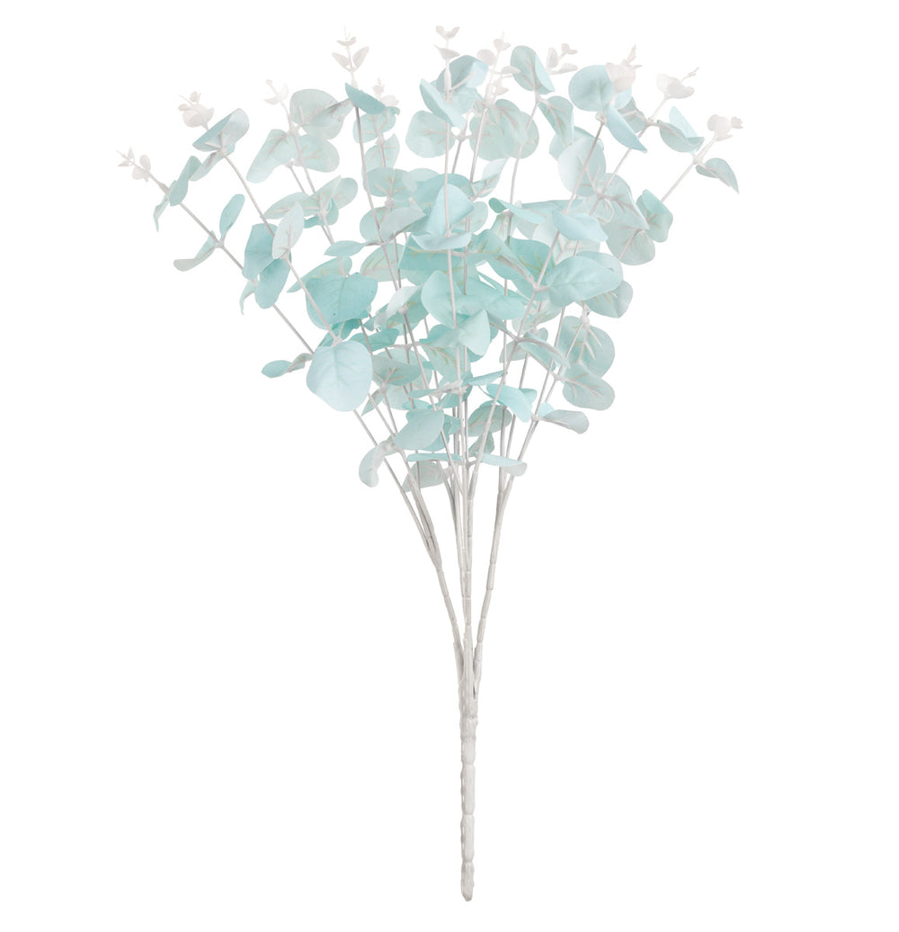 Eucalyptus Bush x 16 Blue image 0