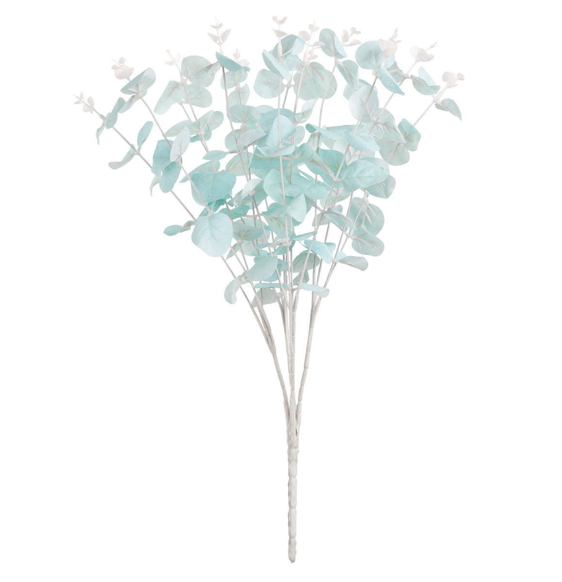 Eucalyptus Bush x 16 Blue image 0