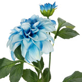 Orlando Dahlia Spray x 2 Blue image 1