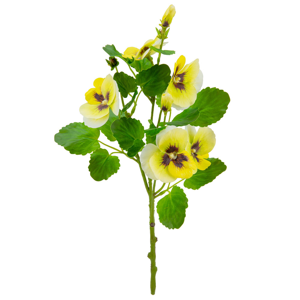 Pansy Spray Light Green/Yellow image 0