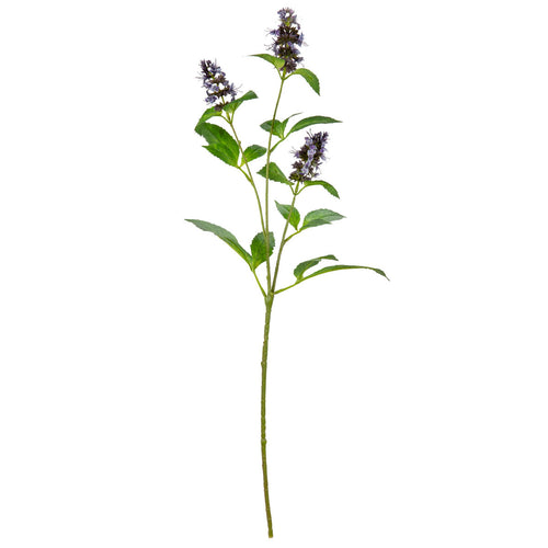 Pogostemon Spray x 3 Purple image 0