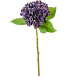 Small Head Hydrangea Blueberry image 1