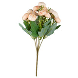 Ranunculus Bush Peach image 1