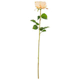 65cm Single Rose Pink image 0