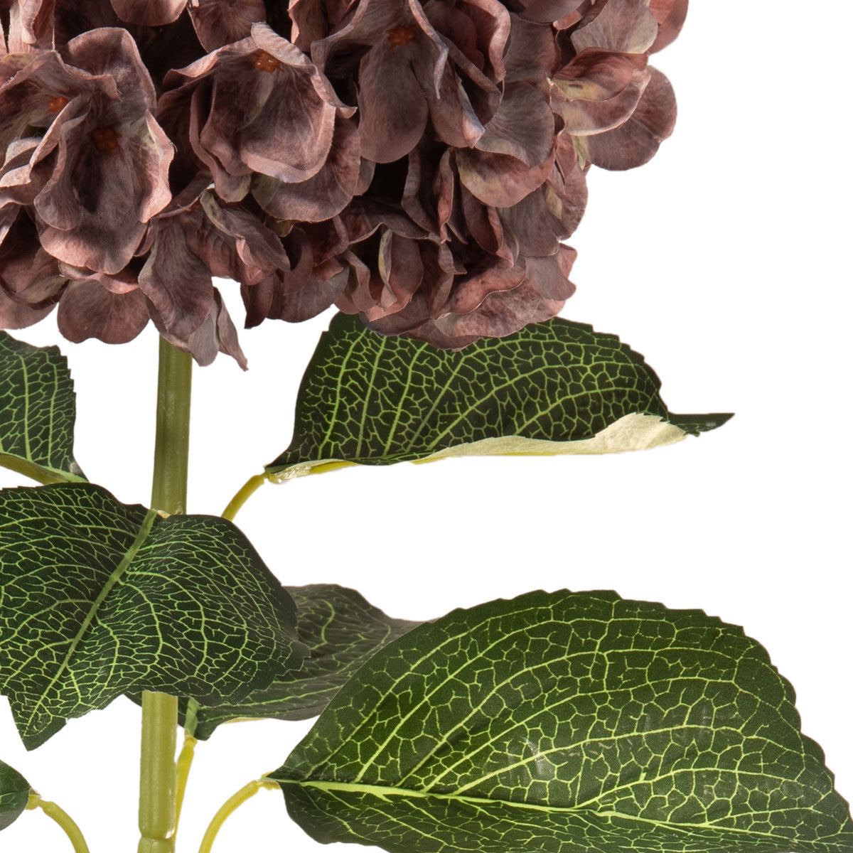 Large Head Hydrangea Dusky Pink image 3