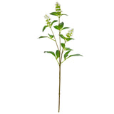 Pogostemon Spray x 3 White image 0