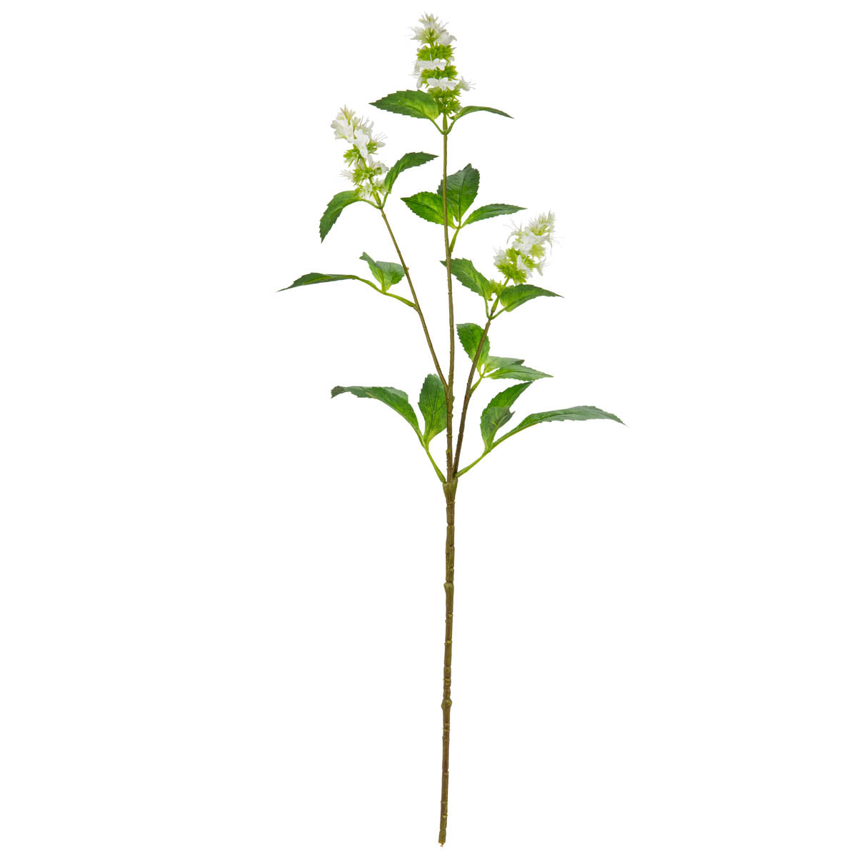 Pogostemon Spray x 3 White image 0