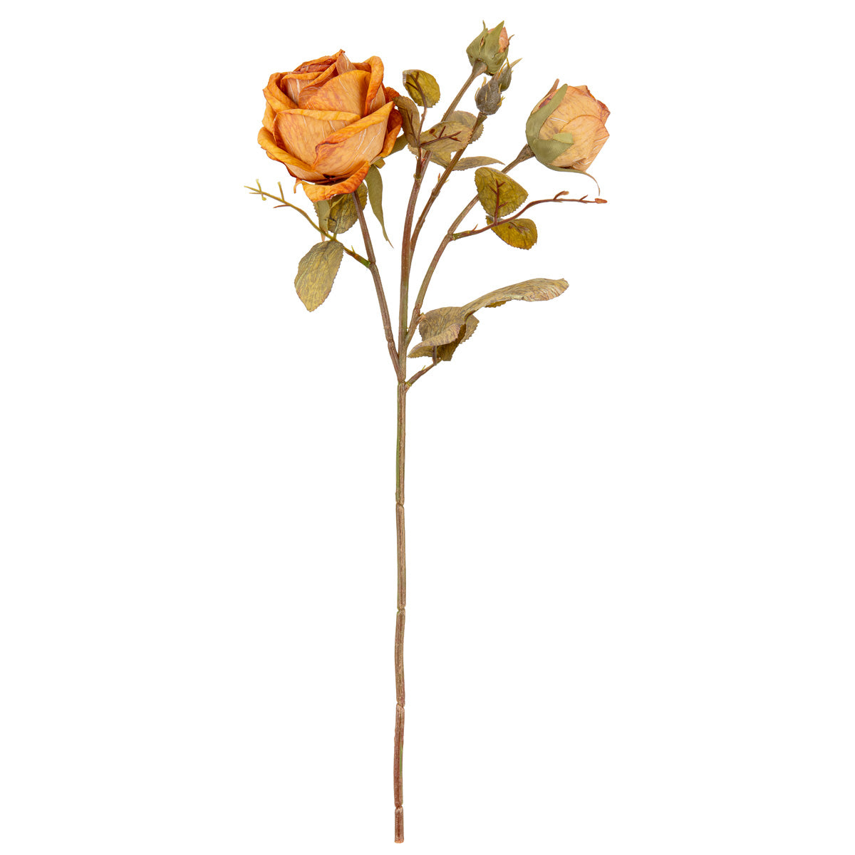 Dry Image Rose Spray Honey Sunset image 0