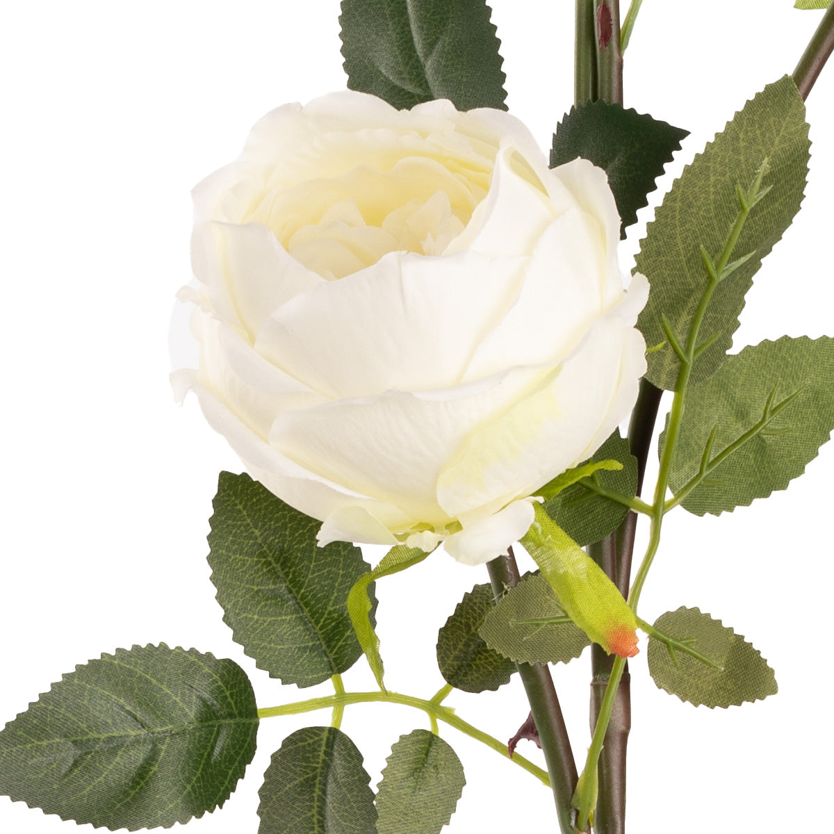 Elizabeth Garden Rose Spray x 3 White image 2