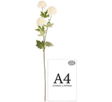 Catherine Chrysanthemum Spray x 3 Cream image 1