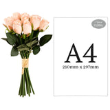 Beatrice Rose Bud Bunch x 15 Champagne image 1