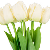 Tulip Bunch x 9 Cream image 2